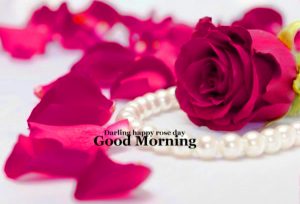 HD Good Morning Images Wallpaper With Flower