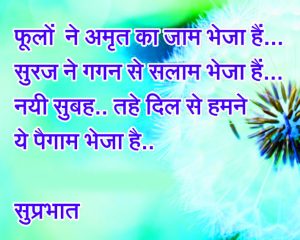 Good Morning Quotes In Hindi Font Images Photo Pictures Download