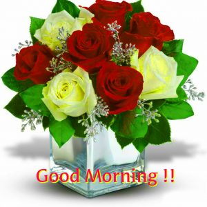 HD Good Morning Images Photo Pics With Red Rose