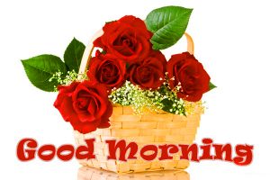 Saturday Good Morning Images Pics Download For Whatsaap