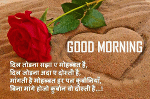 Hindi Good Morning Images Wallpaper Pics With Red Rose