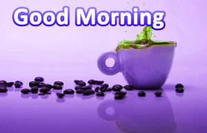 Whatsaap & Facebook Good Morning Images Wallpaper Pictures Free For Whatsaap