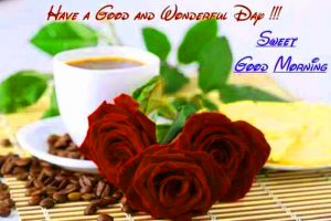 Whatsaap & Facebook Good Morning Images Photo Pics With Red Rose 