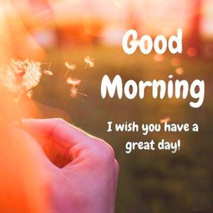 Facebook & Whatsaap Good Morning Images Images Wallpaper Pictures Download 