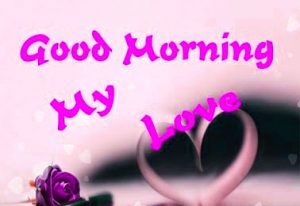 HD Good Morning Images Photo Pictures Free Download