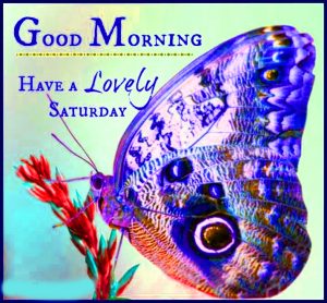 Saturday Good Morning Images Wallpaper Photo Download