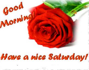 Saturday Good Morning Images Photo Pictures With Red Rose