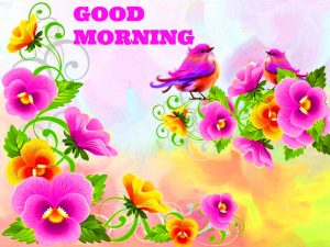 Saturday Good Morning Images Photo Pictures Free With Flower