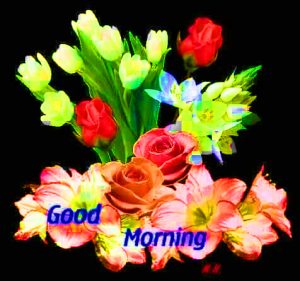 Whatsaap & Facebook Good Morning Images Photo With Flower 