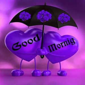 Whatsaap & Facebook Good Morning Images Wallpaper Pictures Download 