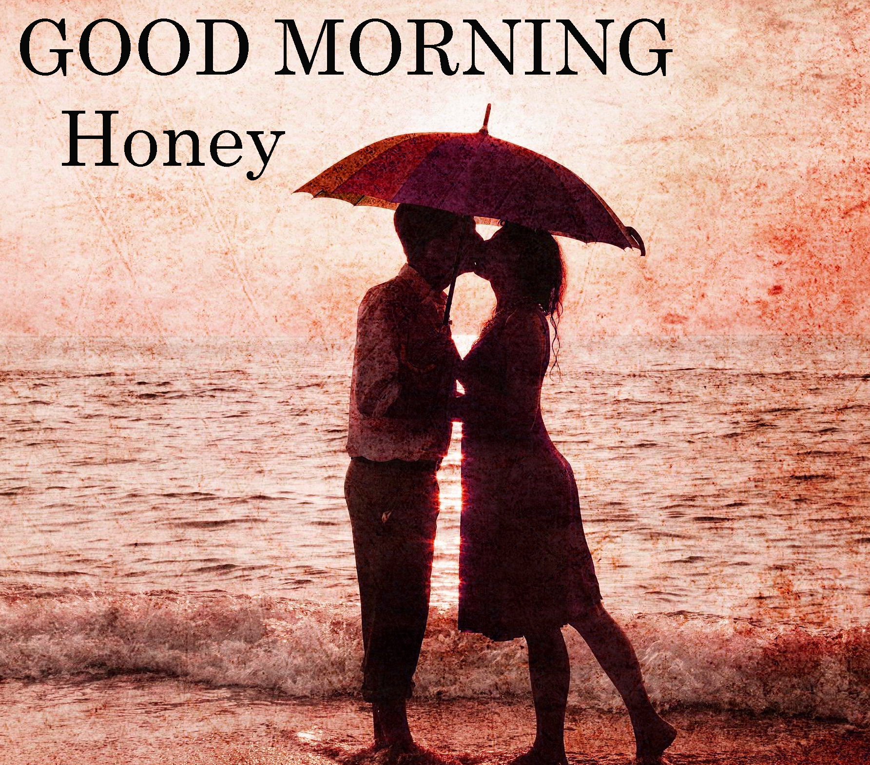 56+ Good Morning  Honey Images Photo HD Download
