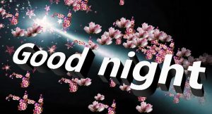 3D Good Night Images Photo Wallpaper Download 