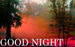 Good Nite Images Wallpaper Pictures Download