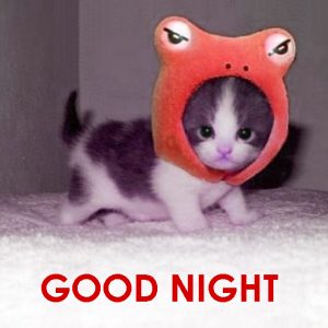 Cute Good Night Images Wallpaper Pics Download