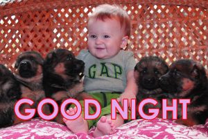 Cute Good Night Images photo wallpaper Download