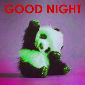 Cute Good Night Images Photo Pictures Free Download