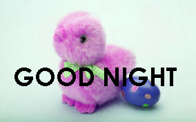 Cute Good Night Images Photo Pictures Download