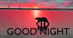 Good Night Images Photo Pic Download