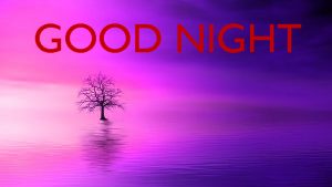 Good Night Images Photo Pictures Free Download