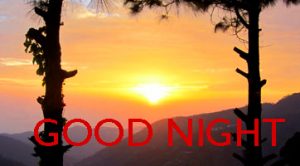 Good Night Images Photo Pics In HD Download