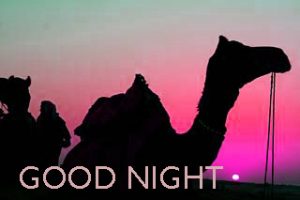 Good Night Images Wallpaper Pictures Download