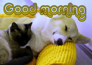 Friend Good morning Wishes Images Wallpaper Pics Download