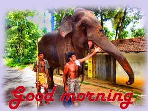 Best Friend Good morning Wishes Images Photo HD Download