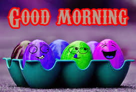  Funny Good Morning Wishes Images Photo HD Download