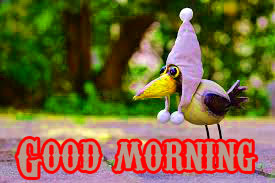  Funny Good Morning Wishes Images Wallpaper Photo Download