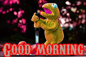  Funny Good Morning Wishes Images Photo Wallpaper HD Download