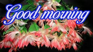 good morning images Wallpaper Pictures With Flower