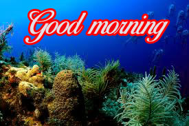 good morning images Wallpaper Pictures Download