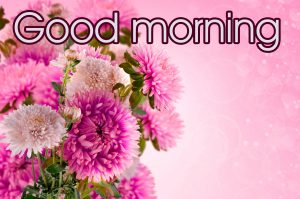 Good Morning Beautiful Flower Nature Girls Images Wallpaper Pics Download