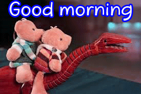 Full HD Good Morning Images Photo Free Download