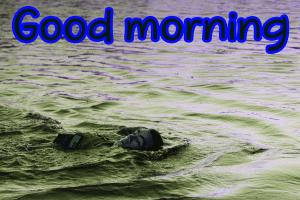 Full HD Good Morning Images Photo Pics Download