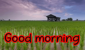 Full HD Good Morning Images Photo for Whatsaap
