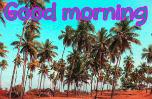 Special Unique Good Morning Wishes Images Pictures Free Download