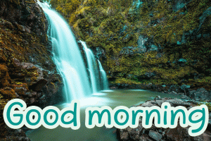 Special Unique Good Morning Wishes Images Photo Pics Download for Whatsaap