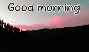 Special Unique Good Morning Wishes Images Wallpaper Pictures Download