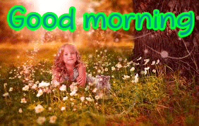 Special Unique Good Morning Wishes Images Wallpaper Pictures HD Download