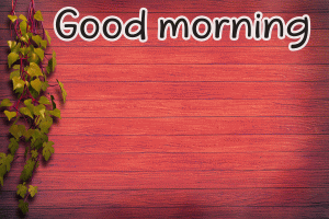 Special Unique Good Morning Wishes Images Photo Pictures HD Download