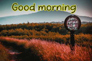Special Unique Good Morning Wishes Images Wallpaper Pics HD Download