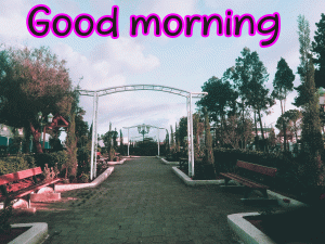 Special Unique Good Morning Wishes Images photo Pictures HD Download