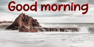 Special Unique Good Morning Wishes Images Wallpaper