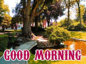 Beautiful Good Morning Images Photo Wallpaper HD Download