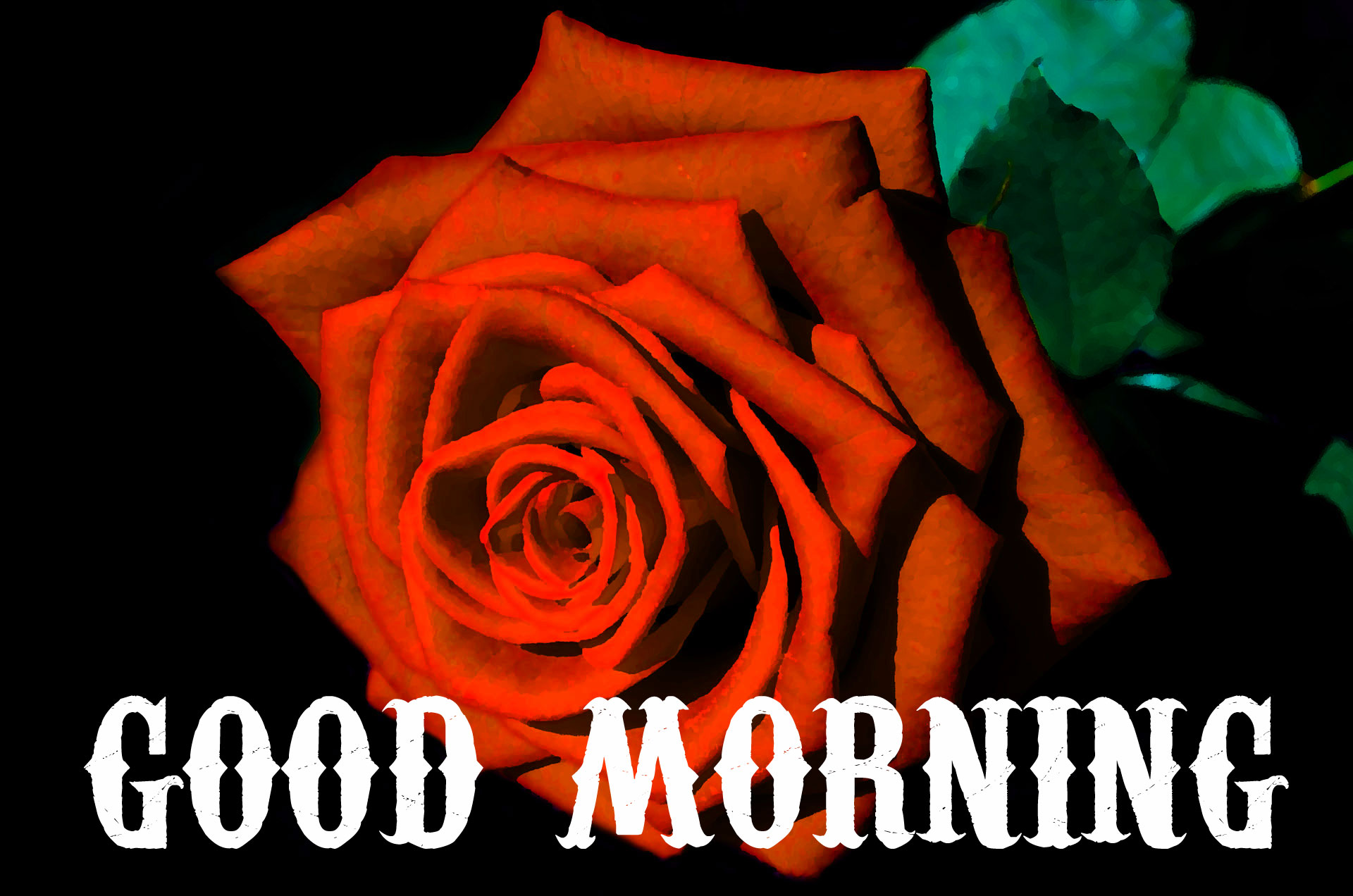 156+ Beautiful Good Morning Images HD Download