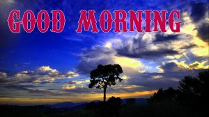 Beautiful Good Morning Images Pictures Download
