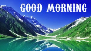 Beautiful Good Morning Images Wallpaper Pic Download for Whatsaap