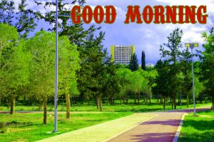 Beautiful Good Morning Images Wallpaper for Whatsaap