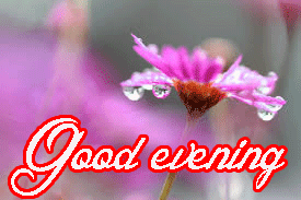God Good Evening Images Pictures HD Download